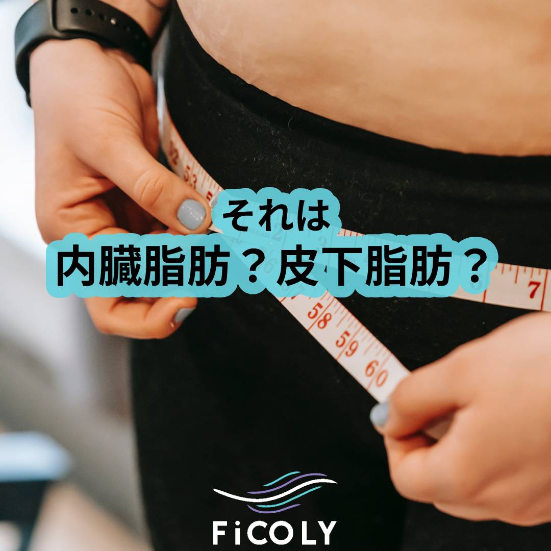 それは内臓脂肪？皮下脂肪？