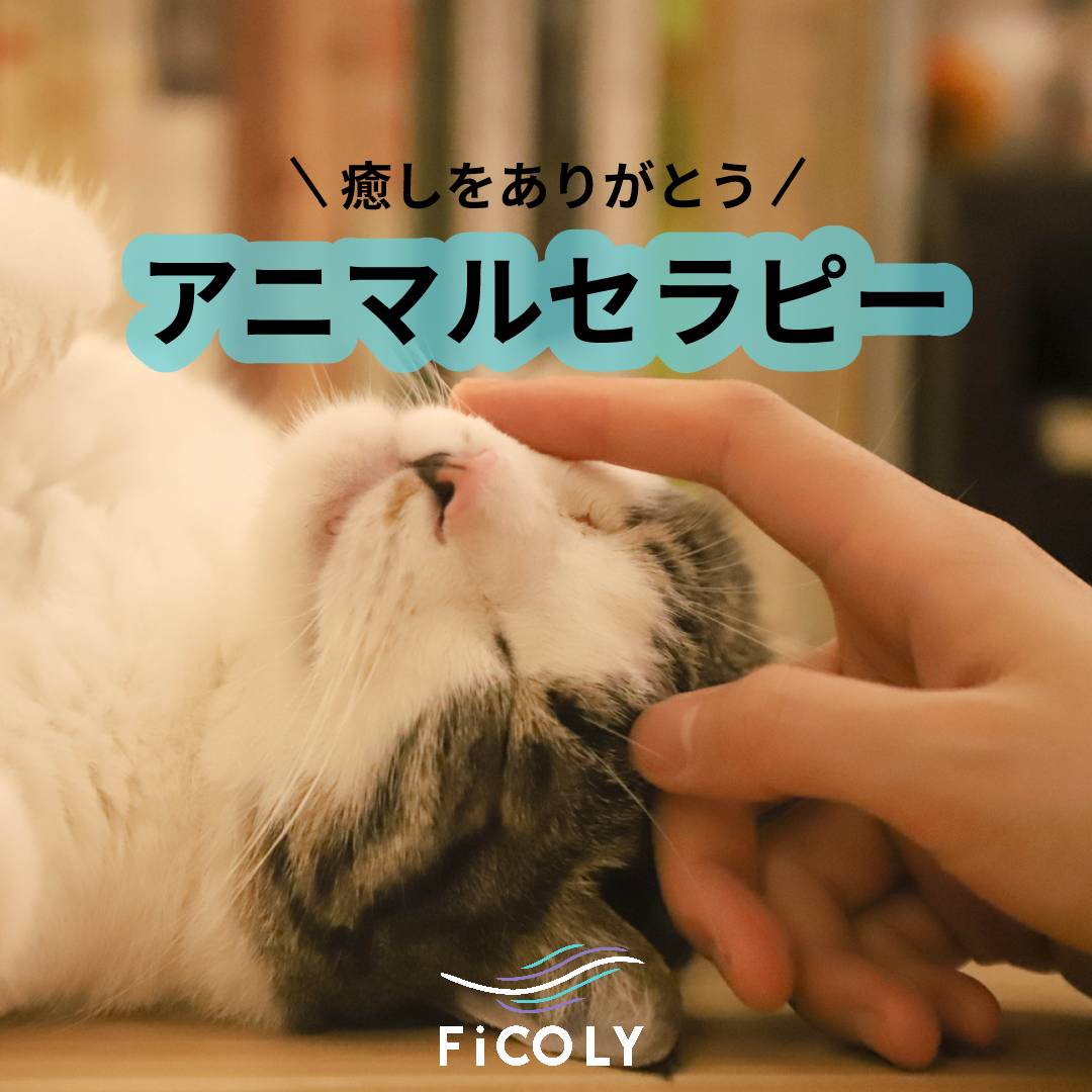 アニマルセラピー