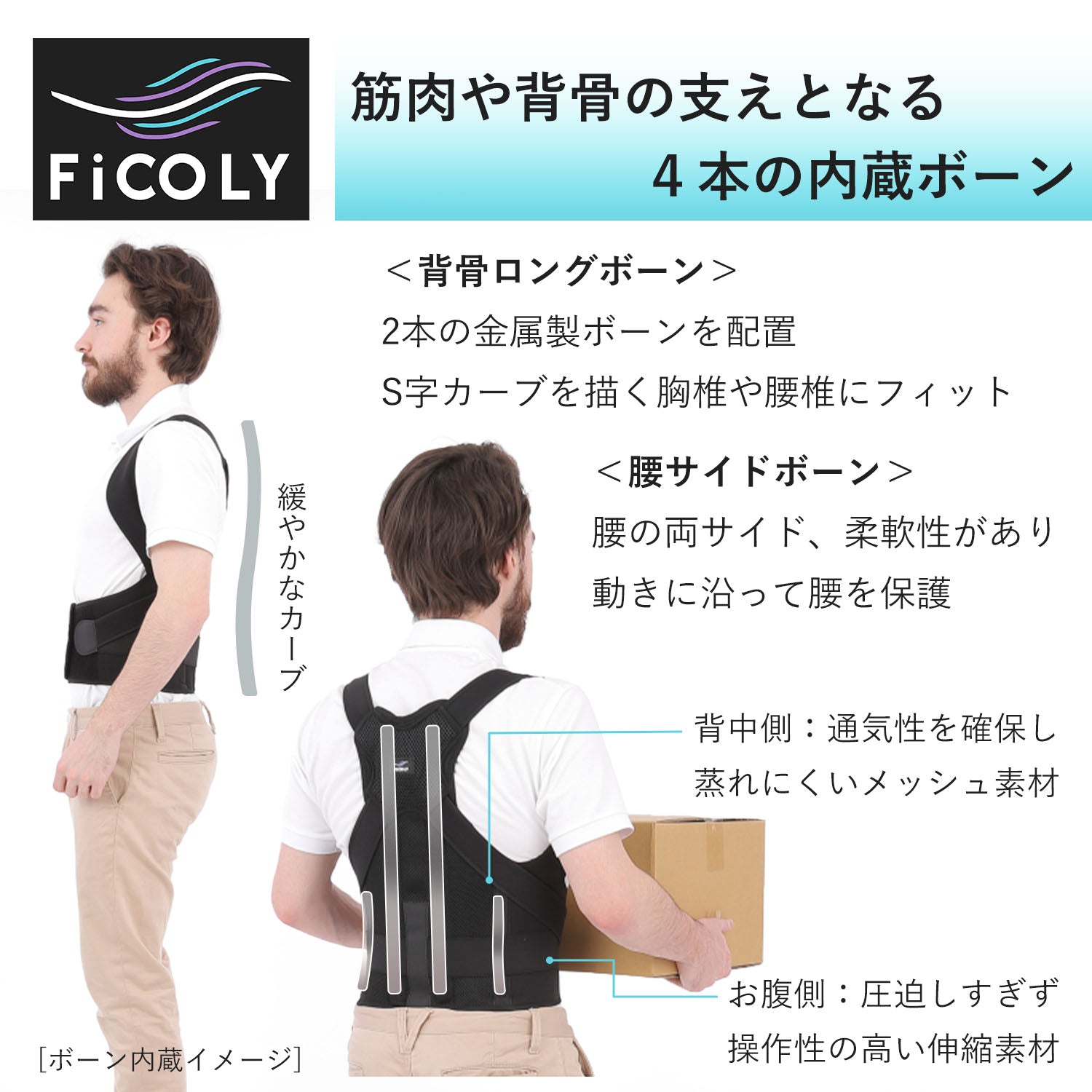 背中サポーター FB-3 - FiCOLY（フィコリー）公式オンラインストア