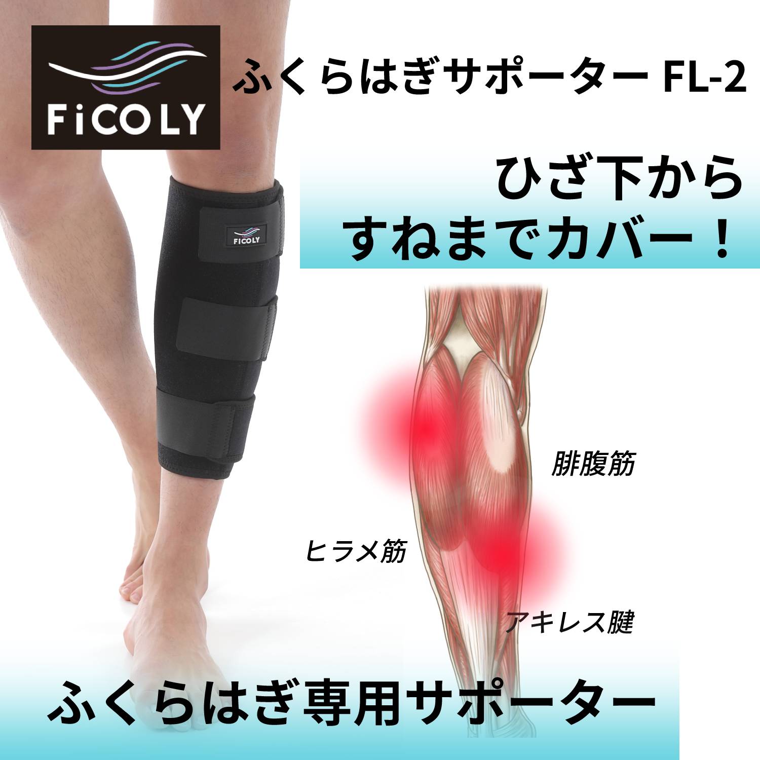 ふくらはぎサポーター FL-3 - FiCOLY(フィコリー)公式 ふくらはぎサポーター FL-3 - FiCOLY(フィコリー)公式