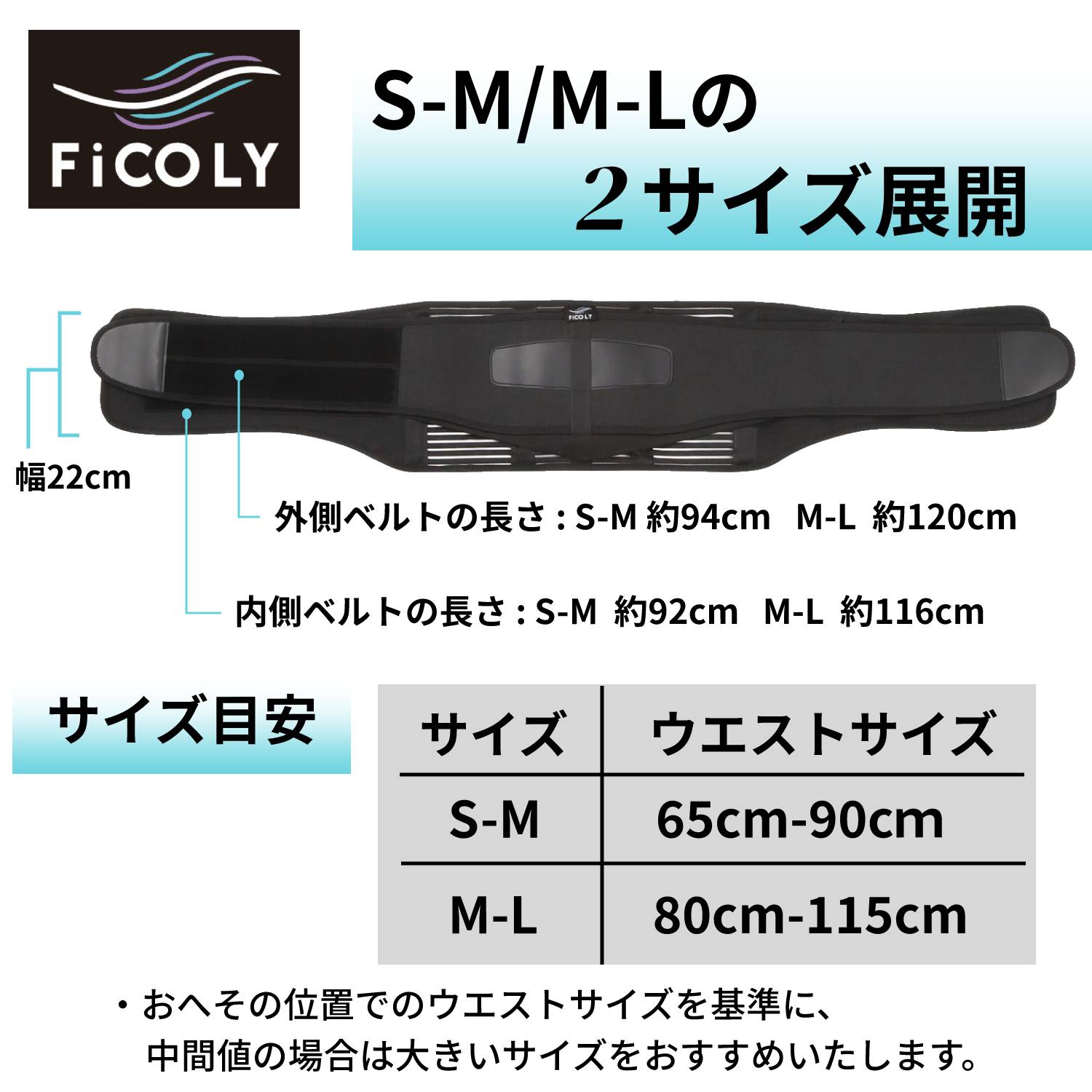 腰サポーター FW-1 - FiCOLY（フィコリー）公式オンラインストア